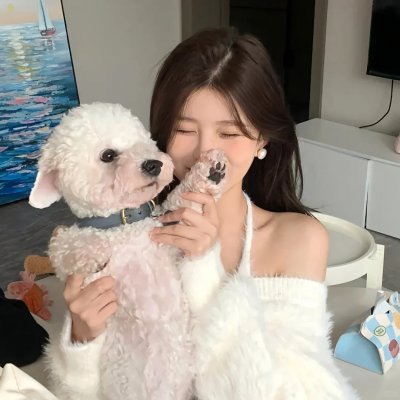 南北大状
